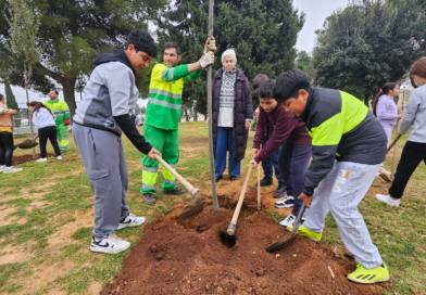 Alcalá de Guadaíra repara los daños de la DANA y sigue plantando arbolado