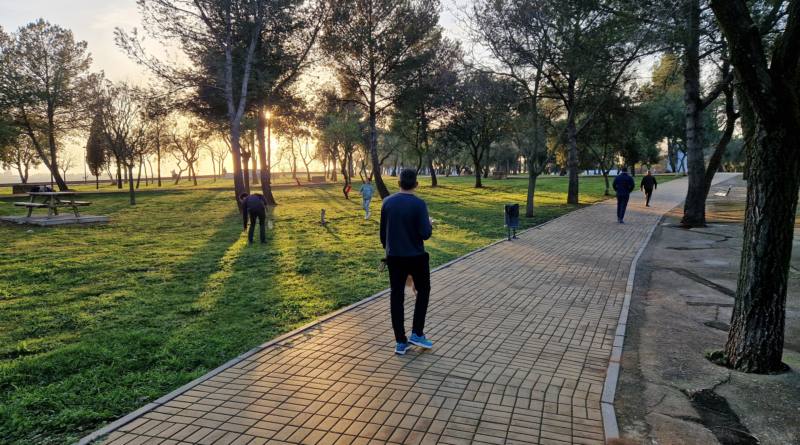 La ONU y la fundación Arborday reconocen a Carmona como “Tree City” por el cuidado de sus árboles