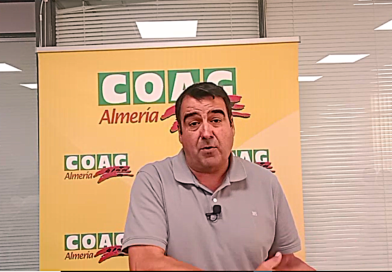El apagón causó daños en los sectores agrícola y ganadero de Andalucía