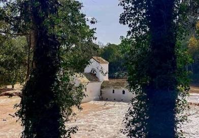 Alcalá de Guadaíra plantó el último año más de 1.500 árboles en el entorno de Oromana