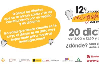 La Casa de la Ciencia recogerá dientes de leche el 20 de diciembre para un proyecto científico