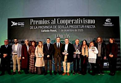 La mairenera Vórtice Alcores Formación premiada por la Diputación por su actividad cooperativista