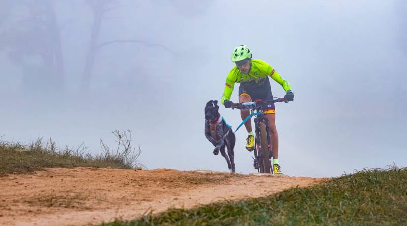 Alcalá de Guadaíra acogerá este fin de semana la Copa de España de Mushing 2026
