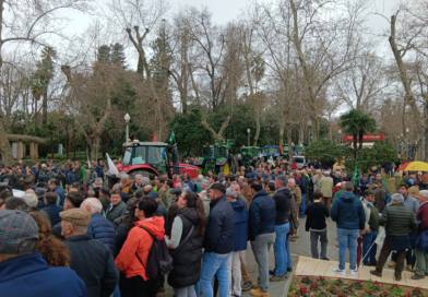 El campo marcha a Madrid tras la tractorada de ayer en la plaza de España de Sevilla