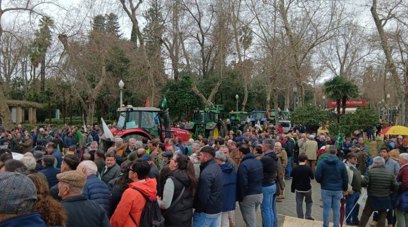 El campo marcha a Madrid tras la tractorada de ayer en la plaza de España de Sevilla