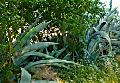 La plataforma por el Parque Cultural pide celeridad administrativa en su tramitación