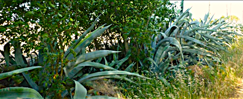 La plataforma por el Parque Cultural pide celeridad administrativa en su tramitación