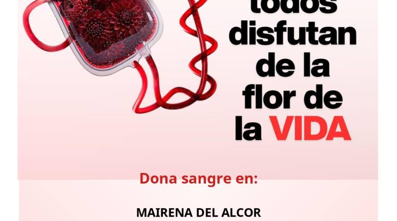 Donación de Sangre en la Veracruz de Mairena del Alcor desde el próximo martes 10 al jueves 12