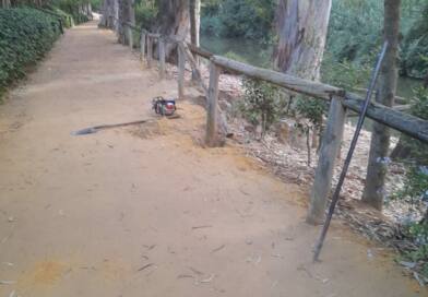 Actos vandálicos también en el parque de Oromana y el Centro de Turismo de Alcalá de Guadaíra