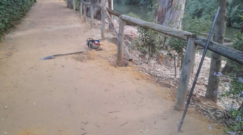 Actos vandálicos también en el parque de Oromana y el Centro de Turismo de Alcalá de Guadaíra