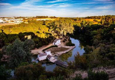 Alcalá de Guadaíra recibe el aval TSJA a su política de implantación de plantas fotovoltaicas y protección del paisaje Alcalá de Guadaíra recibe el aval TSJA a su política de implantación de plantas fotovoltaicas y protección del paisaje