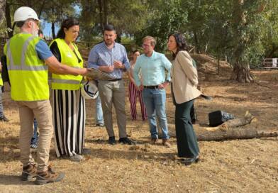 La CHG mejora la seguridad del arroyo La Muela de El Viso del Alcor con 1,3 millones de inversión